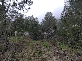 Pujada De Bixquert 8