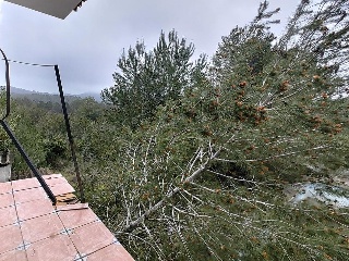 Pujada De Bixquert 11