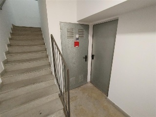Palamos 7