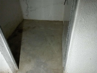 Palamos 8