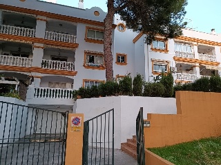Centaurea 3
