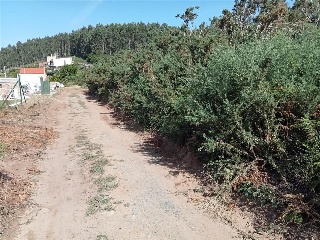 Figueiroa 10