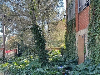 Font De L'Armengol 34