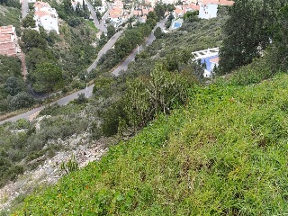 DINAMARCA 7