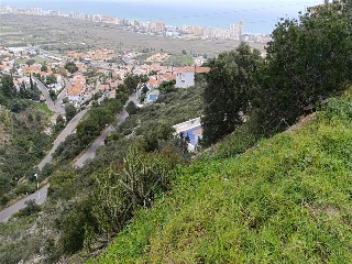 DINAMARCA 8
