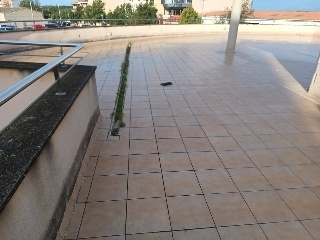 Econom P. Gelabert 8