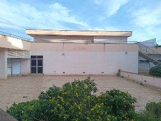 Econom P. Gelabert 14