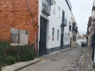 Azacanes 3 2