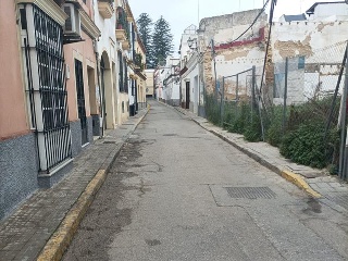 Azacanes 3 3