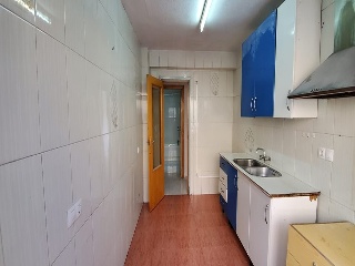 Huerto 4