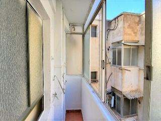 Huerto 5