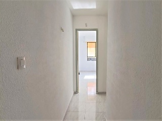 Huerto 6