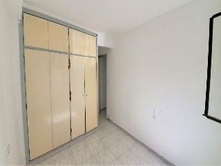 Huerto 8