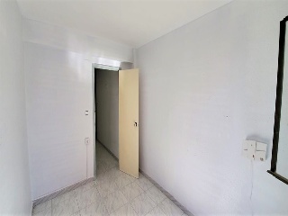 Huerto 11