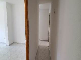 Huerto 13
