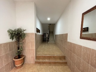 Huerto 17