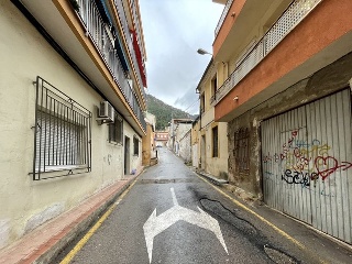 Huerto 20