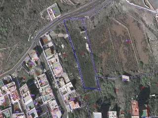Higueritas (Las) 5