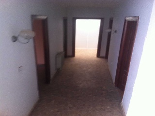 Emilio Castelar 8