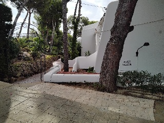 Frutales De Los 2