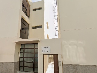 Zamora 3