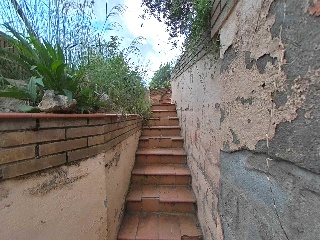 Josep M Segarra 31