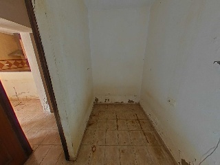 Luz 8