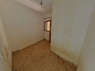 Luz 11