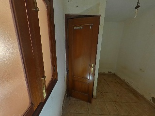 Luz 13