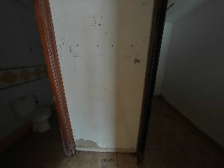 Luz 15