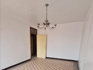 Prado 5