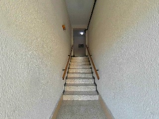 Plutarc De 35