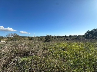 Alacanti 3