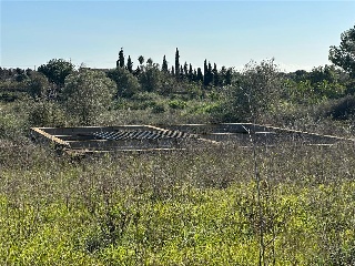 Alacanti 14