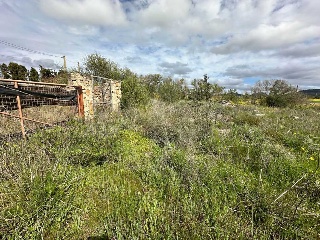 Alacanti 17