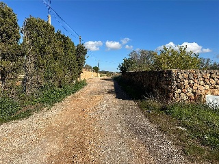 Alacanti 19