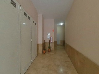 Ramon Y Cajal 42