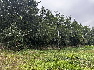 TORRE VIEJA DE ARRIBA-  LUGAR DE CONS 2