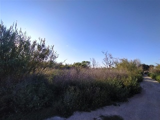 PARAJE SALINAR 2