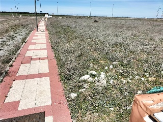 SECTOR SU-15 FINCA ALMARZA 2
