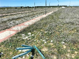 SECTOR SU-15 FINCA ALMARZA 3