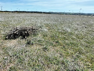 SECTOR SU-15 FINCA ALMARZA 4