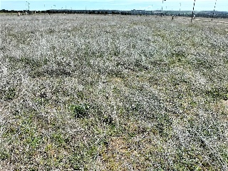 SECTOR SU-15 FINCA ALMARZA 6