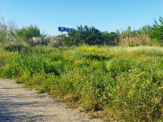 DEL SALINAR - Polígono 131 Parcela 18 3