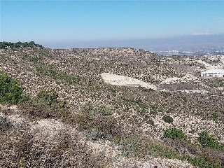 Pisos banco Muela (La)