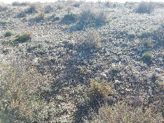 SECTOR 1 DEL PLAN G.DE ORDENACION URBANA 3