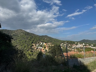 ROSSELLO 12
