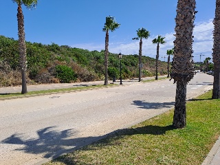 ALCAIDESA 2