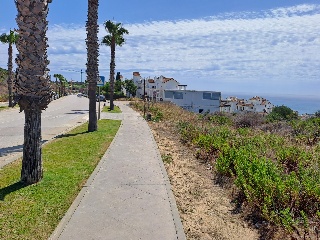 ALCAIDESA 3