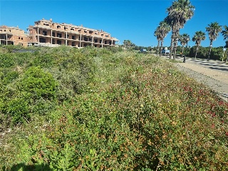 ALCAIDESA 7